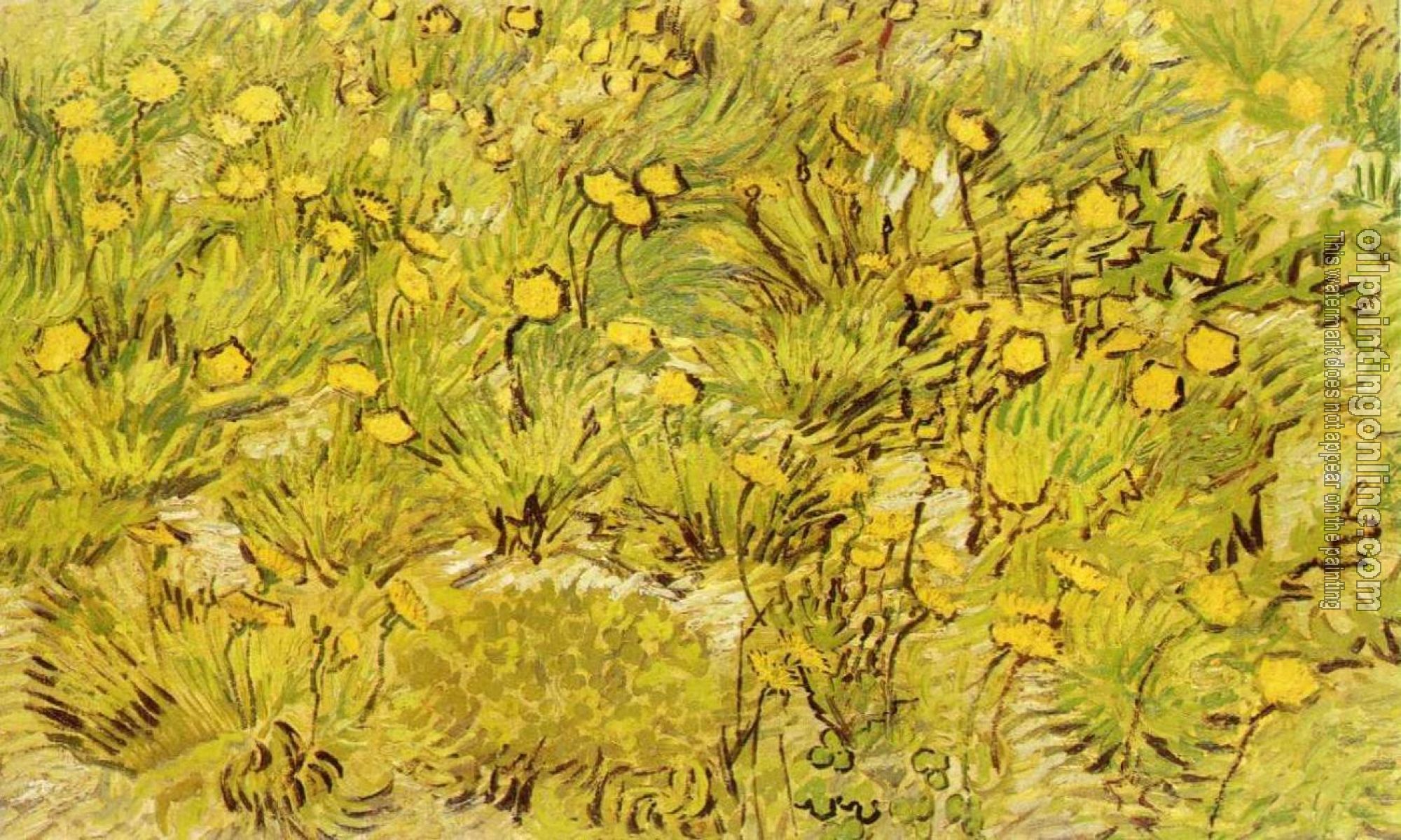 Gogh, Vincent van - A Field of Yellow Flowers